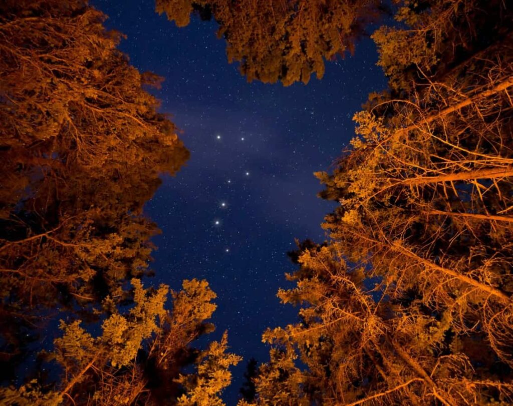 blog imagen ii 1134x898